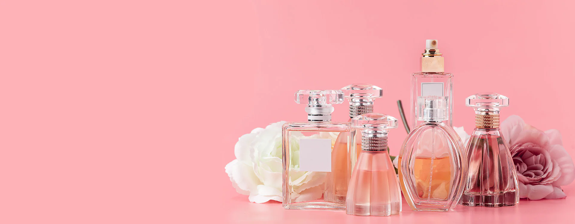 Timeless Elegance